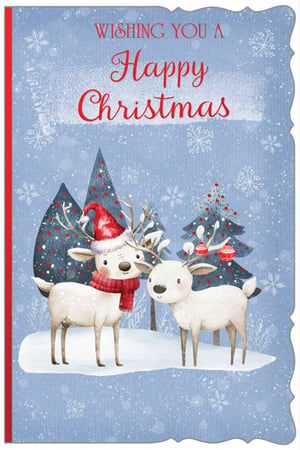 Introduce a touch of festive charm to your Christmas card selection with our 'Open' design, proudly presented by Out of The Blue Studios Ltd. This lovely card features two endearing reindeer in a snowy wonderland. One wears a cheerful Santa hat and cosy red scarf, while the other's antlers are adorned with festive baubles. Surrounded by decorated evergreen trees and falling snowflakes, the card carries a warm 'Wishing You A Happy Christmas' message. It's a delightful choice for spreading holiday cheer. Available in a convenient pack of 6, perfect for your retail offering.