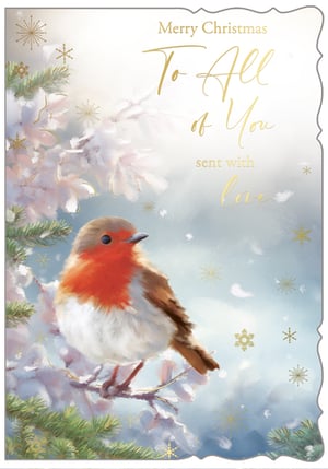Introduce a heartwarming touch to your festive offerings with our 'To All Of You' Christmas card. This exquisite design showcases a beloved robin, beautifully illustrated and perched on a snow-kissed branch, amidst a flurry of delicate golden snowflakes and frosted winter foliage. The elegant gold foil lettering conveys a sincere message: 'Merry Christmas To All Of You sent with love.'
This card perfectly captures the serene charm of the season, making it an ideal choice for customers looking to send warm wishes. Each pack contains 6 cards, providing excellent value for your retail needs. Proudly supplied by Out of The Blue Studios Ltd., these cards are sure to be a popular choice this Christmas.