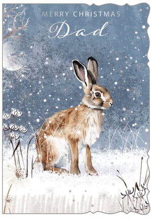 Send warm wishes this Christmas with our beautiful 'Dad' card from Out of The Blue Studios Ltd. This enchanting design features a majestic hare nestled in a serene, snow-covered landscape under a winter moon. Delicate snowflakes and frosty branches create a truly magical scene, making it the perfect way to show appreciation to a special dad. The elegant "Merry Christmas Dad" message is presented in a stylish silver script. Each pack contains 6 cards, ready to bring festive cheer to your customers. A truly heartwarming choice for the holiday season.