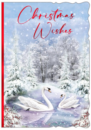 Embrace the serene beauty of winter with this charming Christmas card. Featuring an enchanting scene of two elegant swans gracefully gliding across a tranquil, snow-dusted lake, framed by frosted trees and gentle snowfall, it perfectly captures the peaceful spirit of the season.

The heartfelt 'Christmas Wishes' message, beautifully scripted in festive red, makes this 'Open' card a wonderful choice for sending warm greetings to anyone special. Its classic design and delicate details ensure it stands out. Available in a convenient pack size of 1x6, these cards are an ideal addition to your festive collection.