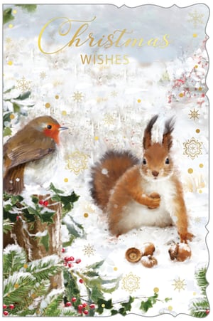 Bring festive cheer to your customers with this delightful Christmas card from Out of The Blue Studios Ltd. This 'Open' design features an enchanting winter scene, showcasing a charming robin and a playful squirrel amidst snow-dusted holly and pine. Golden "Christmas Wishes" text, shimmering snowflakes, and a unique decorative edge add a touch of elegance. Perfect for sending warm greetings, this card is sure to be a popular choice for the festive season. Available in a convenient pack size of 1x6.