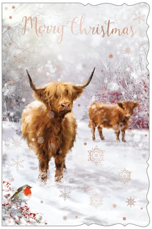 Bring a touch of rustic charm to your Christmas card selection with this delightful design from Out of The Blue Studios Ltd. Featuring two majestic Highland cows amidst a serene, snow-covered landscape, this card captures the heartwarming spirit of a winter wonderland. A cheerful robin perched on a berry-laden branch adds a pop of festive colour, while elegant rose gold snowflakes and dots provide a subtle shimmer. The 'Merry Christmas' greeting is beautifully scripted, making this 'Open' card perfect for sending warm wishes to all. Each pack contains 6 cards, ready to enchant your customers.