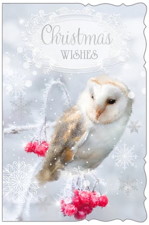 Offer your customers a touch of winter magic this festive season with these beautiful Christmas cards from Out of The Blue Studios Ltd. This exquisite 'Open' design features a serene barn owl, gracefully perched on a snow-dusted branch adorned with vibrant red berries. Delicate snowflakes and a subtle sparkle create a captivating backdrop for the elegant 'Christmas Wishes' message. Perfect for sending heartfelt greetings to anyone, its timeless appeal makes it a wonderful choice for spreading seasonal cheer. Each wholesale pack contains 6 cards, ready to bring joy and warmth to every recipient.