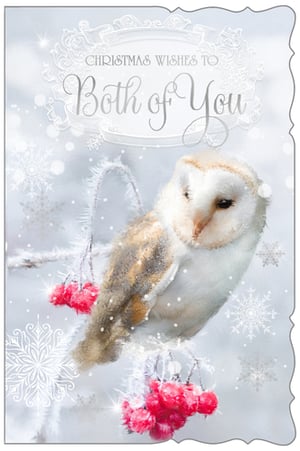 Introduce a touch of winter magic to your Christmas card selection with our stunning 'To Both Of You' card. This beautiful design features a serene barn owl perched on a frosted branch, adorned with vibrant red berries and delicate snowflakes, creating a truly enchanting festive scene. The elegant 'Christmas Wishes to Both of You' message makes it the perfect choice for couples, friends, or family.
Crafted with care by Out of The Blue Studios Ltd, this delightful card is sure to bring warmth and joy to any recipient. Offer your customers a truly special way to send their seasonal greetings. Available in a convenient pack of 6 (1x6).