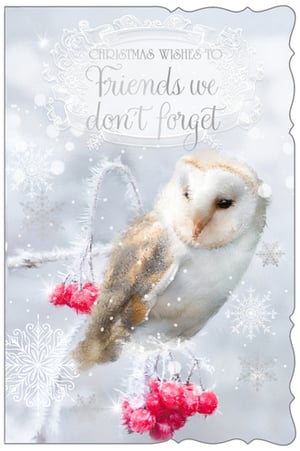 Send heartfelt Christmas wishes with our "Friends We Don't Forget" card. This stunning design from Out of The Blue Studios Ltd. features a majestic barn owl perched gracefully on a snow-dusted branch, adorned with vibrant red berries. Delicate snowflakes and sparkling details create a truly magical winter scene. It's the perfect way to let those special friends know they're always in your thoughts during the festive season. Each pack contains 6 beautiful cards, ready to bring warmth and joy to your customers' loved ones. A truly enchanting choice for your Christmas card selection.