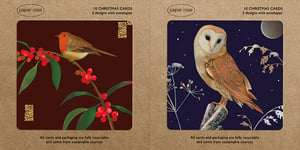 Send warm wishes this festive season with our charming 'Robin & Owl' boxed Christmas cards from Paper Rose. Each pack contains 10 cards, offering two beautiful designs to share. You'll find five cards featuring a classic robin nestled on a branch adorned with bright red berries, and five cards showcasing a serene barn owl under a moonlit, starry sky. All cards come with envelopes, ready for your personal messages. We're pleased to confirm that these cards and their packaging are fully recyclable and made from sustainable sources, offering a thoughtful way to celebrate. A lovely choice for spreading Christmas joy.