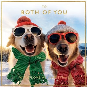 Spread double the festive cheer with our adorable 'To Both Of You' Christmas card! Featuring two wonderfully happy Golden Retrievers, dressed in their winter best with bobble hats, cool sunglasses, and cosy scarves, this card is guaranteed to bring smiles. Set against a beautiful snowy backdrop, these charming pups perfectly capture the joy of the season.
Ideal for sending warm wishes to a special couple or two friends, this delightful design from Paper Rose is a true standout. Each pack contains 6 cards, making it easy to stock up on this irresistibly cute option for your customers. A truly heartwarming choice for the holidays!