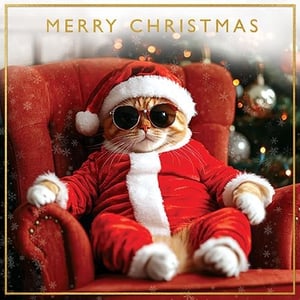 Get ready for a purr-fectly festive season with this utterly charming Christmas card from Paper Rose! Featuring an incredibly cool cat, rocking a Santa suit and stylish sunglasses, lounging in a cosy armchair, it's guaranteed to bring a smile to anyone's face. The prominent 'MERRY CHRISTMAS' greeting, festive snowflakes, and twinkling background lights complete this delightful scene. This 'Open' card is perfect for spreading holiday cheer with a touch of humour. Available in a convenient pack size of 1x6, it's an ideal addition to your seasonal card selection, offering your customers something truly special and memorable.