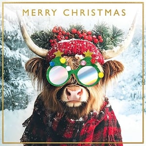 Bring a smile to every face this festive season with our utterly charming Highland Cow Christmas card! This delightful design features a shaggy-haired friend, all dressed up in a cosy red knitted hat adorned with festive berries, playful Christmas tree glasses, and a snug red and black plaid scarf. Set against a serene snowy landscape, this card perfectly captures the joy and warmth of Christmas. With 'MERRY CHRISTMAS' proudly displayed, it’s an irresistible choice for sending heartfelt wishes. This 'Open' design is supplied by Paper Rose and is available in convenient packs of 6, ready to add a touch of unique cheer to your seasonal collection.