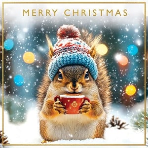 Bring a touch of winter charm to your Christmas card selection with this delightful design from Paper Rose. Featuring an adorable squirrel, snug in its bobble hat and holding a steaming mug, this card perfectly captures the cosy spirit of the season. Set against a beautiful snowy backdrop with twinkling festive lights, it's sure to bring a smile to any recipient's face. The classic 'Merry Christmas' message adds a warm, inviting touch. This charming card is ideal for spreading festive cheer. Available in a convenient pack size of 1x6. Product Name: Open.