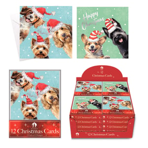 Bring festive cheer to your customers this Christmas with the adorable Tallon 12 Cosy Home Dog Scene Christmas Cards! This delightful collection features two heartwarming designs, perfect for dog lovers.

One charming design showcases a trio of playful pups – a Cavalier King Charles Spaniel, a Yorkshire Terrier, and a Golden Doodle – all sporting festive Santa hats against a snowy blue backdrop. The second design features a cheerful Corgi and a dapper Scottish Terrier, also in festive headwear, set against a soft green background. Both designs wish a 'Happy Christmas' in elegant script.

Each retail pack contains 12 cards (6 of each design), complete with envelopes. This wholesale pack includes 24 retail packs, presented in a convenient counter display unit, making them ideal for impulse purchases. Stock up on these irresistibly cute cards and spread some canine Christmas joy!
