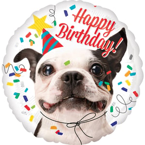Bring a wagging tail to any celebration with our delightful 17" Happy Birthday Dog foil balloon! This charming design from Folat features an irresistible Boston Terrier, sporting a festive party hat and a wonderfully happy expression that's guaranteed to bring smiles.

Adorned with vibrant 'Happy Birthday!' text, colourful confetti, and playful streamers, this eye-catching balloon is perfect for any dog lover's special day. Its cheerful aesthetic makes it an ideal addition to party decorations or as a standalone gift. Supplied individually, it's easy to stock and ready to brighten up any birthday bash. A truly paw-some way to celebrate!