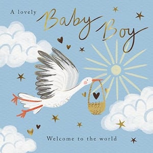 Welcome a precious new arrival with our delightful 'Birth Congrats Boy' card, brought to you by the Great British Card Company. This charming design features a classic stork gracefully delivering its special bundle against a serene blue sky, adorned with golden stars, hearts, and soft clouds. The elegant golden script proudly announces "A lovely Baby Boy" and "Welcome to the world," making it perfect for sharing heartfelt congratulations. With its sweet and traditional appeal, this card is a wonderful way to celebrate. Available in a convenient pack of 6, it's an essential addition for any retailer's new baby card selection.