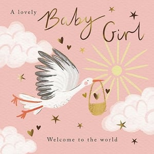 Celebrate the arrival of a precious little one with our 'Birth Congrats Girl' card, brought to you by the Great British Card Company. This delightful design features a charming stork gracefully carrying a golden basket, set against a soft pink sky adorned with twinkling stars, sweet hearts, and fluffy clouds. The elegant gold script proudly announces 'A lovely Baby Girl' at the top, with a warm 'Welcome to the world' message at the bottom. Perfect for welcoming a new daughter, granddaughter, or friend's baby, this card offers a truly heartwarming way to share in the joy. Each pack contains 6 beautiful cards, ready to enchant your customers.