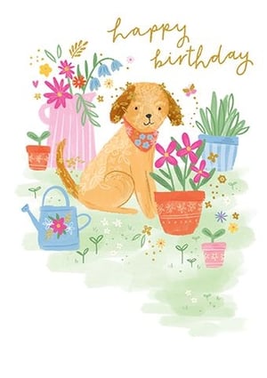 Brighten someone's special day with this adorable 'Happy Birthday' card from Paper Rose. Featuring a charming golden dog with a floral bandana, nestled amongst a vibrant garden of potted plants, colourful flowers, and a sweet watering can, this card is bursting with cheer. The whimsical, watercolour-style illustration and golden 'happy birthday' script make it a delightful choice for any female recipient. Perfect for dog lovers and garden enthusiasts alike, this card offers a warm and friendly way to send birthday wishes. Supplied in a convenient pack of 6, it's ready to bring smiles all year round.