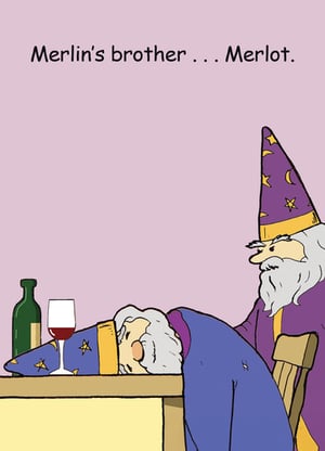 Introduce a touch of magic and merriment to your card selection with this brilliant 'Open Humorous' card from Second Nature. Featuring Merlin's slightly less-than-magical brother, Merlot, in a rather relatable predicament after perhaps one too many potions (or glasses of wine!), this design is guaranteed to raise a chuckle. The clever pun and charming illustration make it a standout choice for anyone who appreciates a good laugh. Perfect for birthdays, celebrations, or simply to brighten someone's day. Stock up on this wonderfully witty card, available in a convenient pack of 6, and let your customers share the fun!