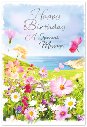 Brighten someone's special day with this enchanting Open Birthday Female card from Simon Elvin. Featuring a breathtaking watercolour illustration, this card captures the beauty of a sun-drenched wildflower meadow overlooking a tranquil blue sea. Delicate pink and purple blooms, cheerful daisies, and a graceful butterfly create a truly serene and uplifting scene. The elegant silver script wishes "Happy Birthday A Special Message," making it perfect for any female recipient. This versatile design offers a touch of natural beauty and heartfelt sentiment. Available in a convenient pack of 6, these cards are ideal for your retail display, ready to bring joy to your customers.