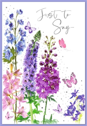 Brighten someone's day with our lovely 'Just To Say' greeting card, brought to you by Simon Elvin. This charming design showcases a beautiful watercolour illustration of tall, colourful flowers in shades of blue, purple, and pink. Delicate butterflies flutter gracefully amidst the blooms, adding a touch of elegance. The 'Just To Say' message makes this card wonderfully versatile, perfect for any occasion – from a thoughtful note to a heartfelt thank you, or simply to let someone know you care. Each pack contains 6 identical cards, ensuring you're always ready to share a little joy. A truly delightful card for any recipient.