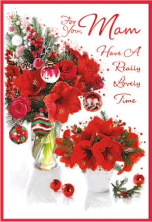 Show your wonderful Mam just how much she means to you with this truly beautiful greeting card. Featuring a stunning festive design, it's adorned with vibrant red flowers, lush green foliage, and sparkling Christmas baubles, creating a warm and elegant feel. The heartfelt message, 'For You, Mam Have A Really Lovely Time', is perfect for wishing her joy during the festive season or any special winter occasion. This exquisite card is a delightful choice to help celebrate the special Mams in their lives, making any moment feel extra special.