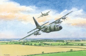 A painting of two military planes flying over a field by M. Salter. (No grammatical errors)