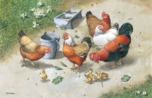 A painting of chickens and ducklings by M. Galler.