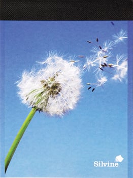 A picture of a dandelion blowing in the wind by Silvine.
