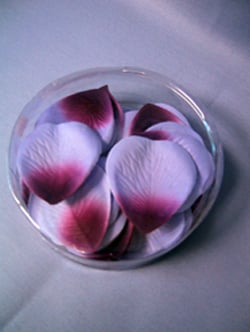 Purple and white flower petals are in a clear plastic container.