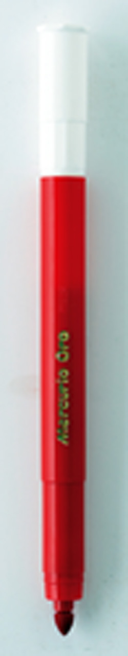 A red marker with the word "maestro" on it.
