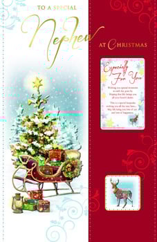 A Christmas card that says "To a special nephew at Christmas."