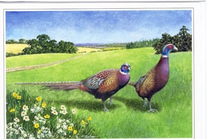 A painting of two pheasants in a grassy field.