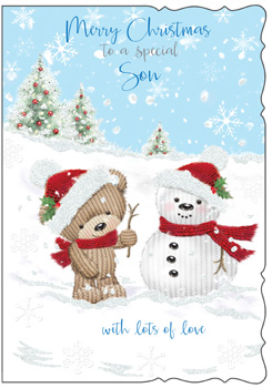 Merry Christmas to a special son with lots of love.