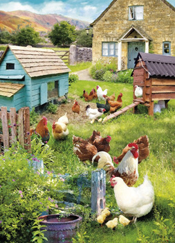 A group of chickens stands in front of a house.