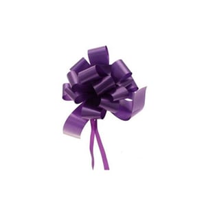 A purple bow with a purple ribbon is on a white background.