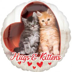 two kittens are sitting inside of a heart shaped balloon .