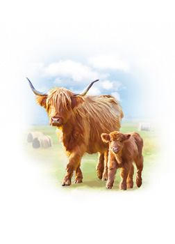 A cow and calf are walking in a field with hay bales in the background.
