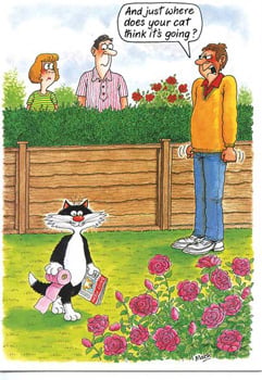 A cartoon of a cat standing in a garden and talking to a man.