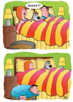 A cartoon of a man and a woman lying in bed with a dog.
