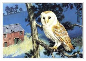 a barn owl perched on a tree branch with a house in the background