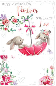 Happy Valentine's Day, partner, with lots of love.