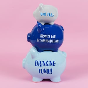 Three piggy banks are stacked on top of each other, with one saying "money for accommodation."