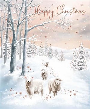 A Christmas card with sheep and trees in the snow.