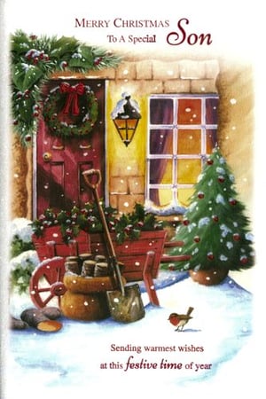 A Merry Christmas card to a special son.