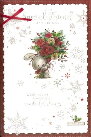 "A Christmas card for a special friend, wishing you a world of wonderful things."