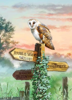 A painting of an owl, sitting on a sign that says "bridle way."