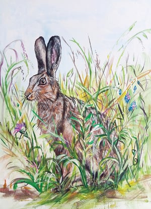A painting of a rabbit with the name Johnson on the bottom.