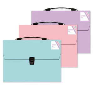 Three differently colored expanding file cases with black handles.