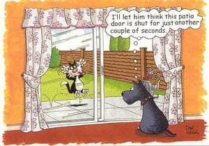 A cartoon of a cat and a dog looking out of a sliding glass door.