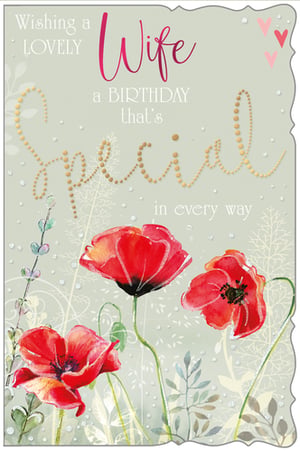 A birthday card wishing a wife a birthday that is special in every way.