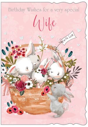 A birthday card for a wife who is very special.