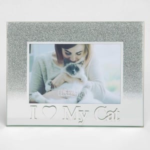 A woman is holding a cat in a picture frame that says "I love my cat."